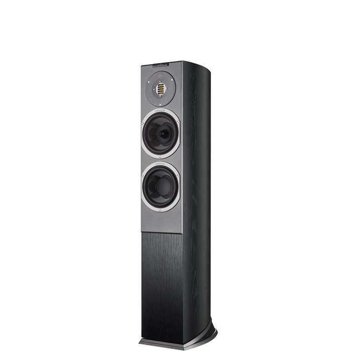 Audiovector R 3 Avantgarde (Czarny/Black Ash) 1szt - Raty 0% - Gwarancja producenta - Salon Łódź - Możliwy montaż u klienta