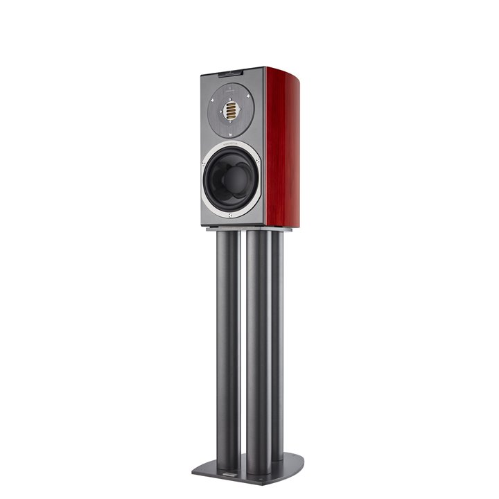 Audiovector R 1 Avantgarde (African Rosewood) 1SZT - RATY 0% - GWARANCJA PRODUCENTA - SALON ŁÓDŹ - MOŻLIWY MONTAŻ U KLIENTA