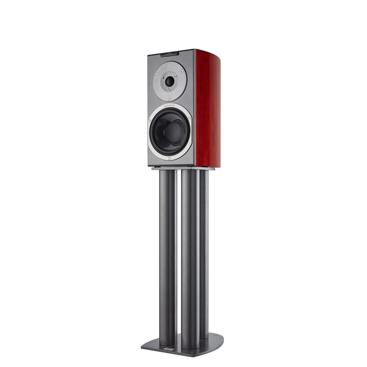 Audiovector R 1 Signature (African Rosewood) 1SZT - RATY 0% - GWARANCJA PRODUCENTA - SALON ŁÓDŹ - MOŻLIWY MONTAŻ U KLIENTA