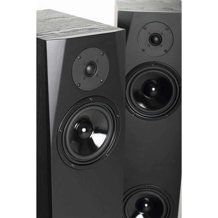 Pylon Audio Sapphire 25 (Czarny okleina PCV) / 1szt. - Raty 0% - Gwarancja producenta - Salon Łódź - Możliwy montaż u klienta