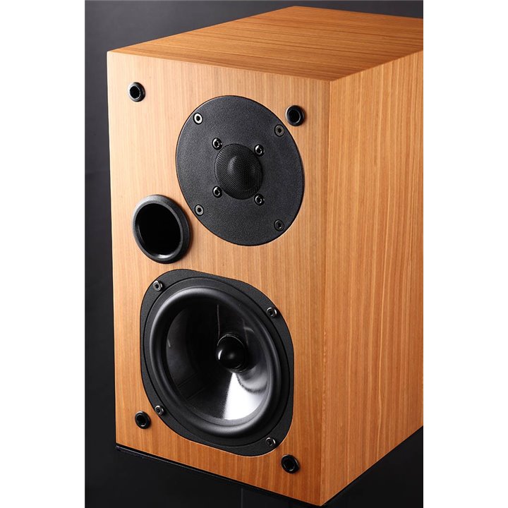 Usher S-520 pioneer / 1szt. 1SZT - RATY 0% - GWARANCJA PRODUCENTA - SALON ŁÓDŹ - MOŻLIWY MONTAŻ U KLIENTA