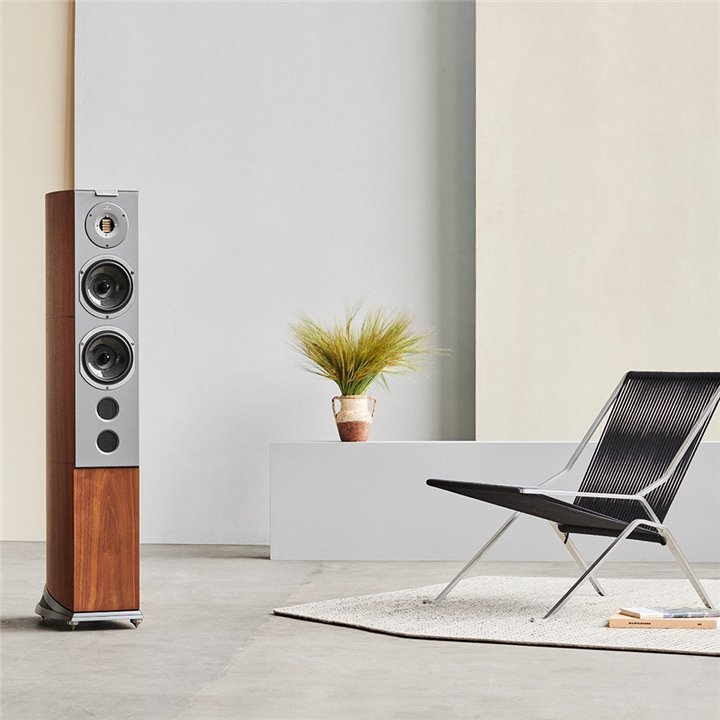 AudioVector R 6 Avantgarde - Italian Walnut Matte - 1 SZT - RATY 0% -GWARANCJA PRODUCENTA - SALON ŁÓDŹ -MOŻLIWY MONTAŻ U KLIENTA