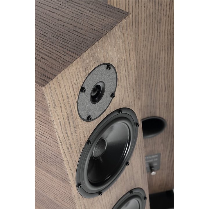 Pylon Audio Diamond 28 (Black okleina olejowosk) / 1szt. - Raty 0% - Gwarancja producenta - Salon Łódź