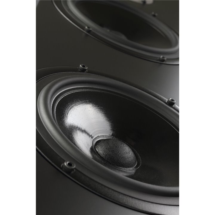 Pylon Audio Diamond 28 (Czarny lakier połysk) / 1szt. - Raty 0% - Gwarancja producenta - Salon Łódź - Możliwy montaż u klienta