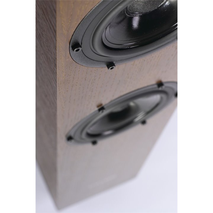 Pylon Audio Diamond 25 (Orzech okleina lak. bezb.) / 1szt. - Raty 0% - Gwarancja producenta - Salon Łódź