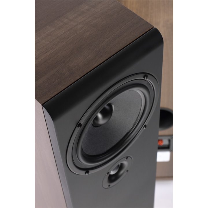 Pylon Audio Opal 20 (Orzech okleina PCV) / 1szt. - Raty 0% - Gwarancja producenta - Salon Łódź - Możliwy montaż u klienta