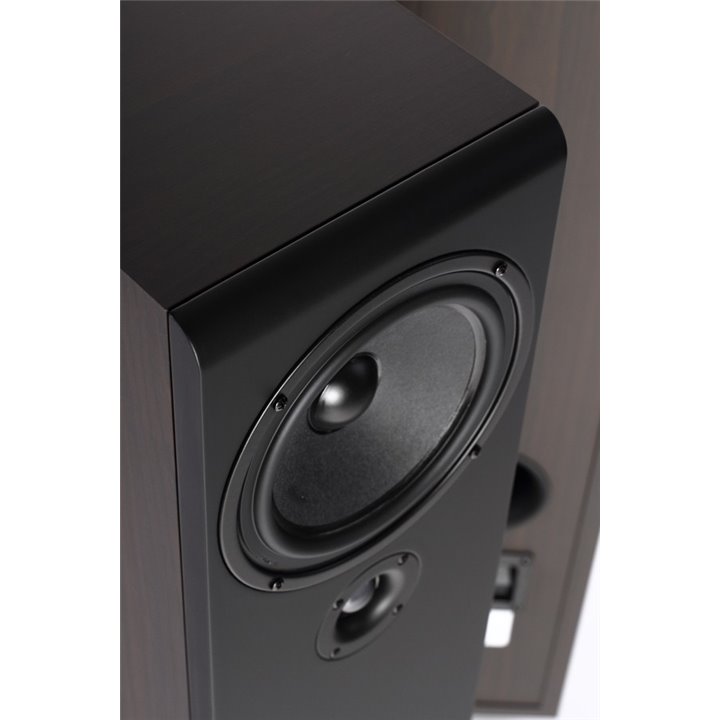 Pylon Audio Opal 20 (Wenge okleina PCV) / 1szt. - Raty 0% - Gwarancja producenta - Salon Łódź - Możliwy montaż u klienta