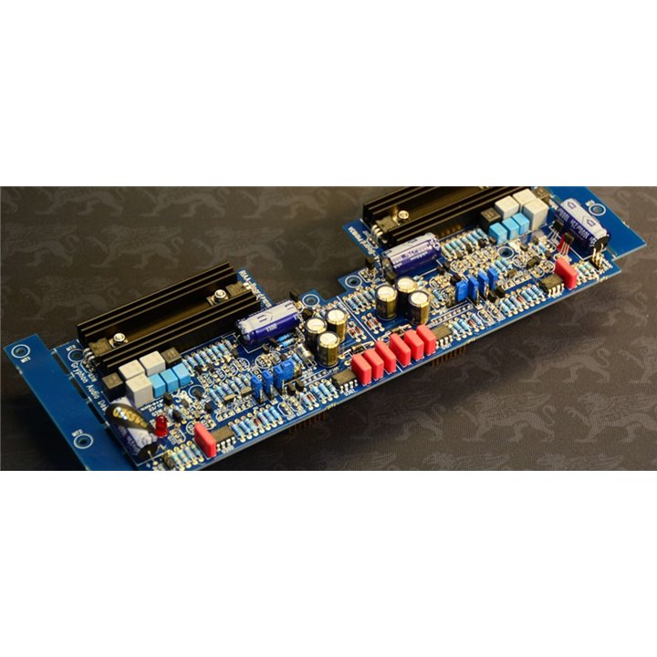 Gryphon Audio PSII phono module MK2