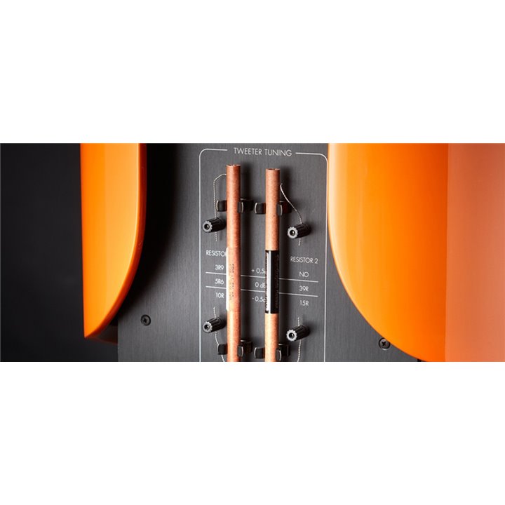 Gryphon Audio Mojo S metal paint 1szt.