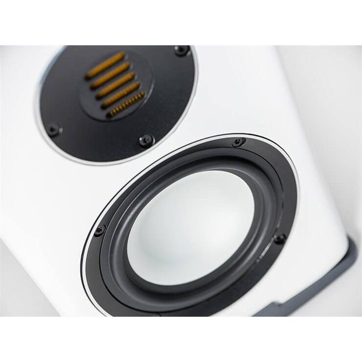 Elac Carina BS243.4 - Czarne