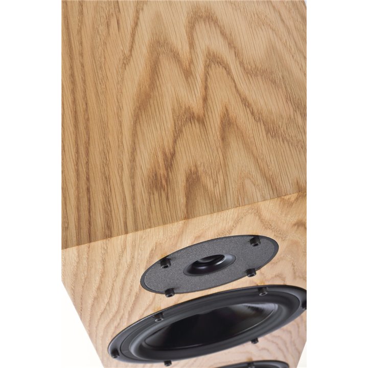 Pylon Audio Diamond 28 (Natural okleina lak. bezb.) / 1szt. - Raty 0% - Gwarancja producenta - Salon Łódź