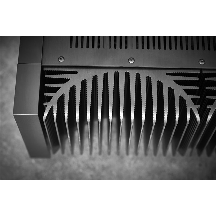 Gryphon Audio Essence Power Mono (para)