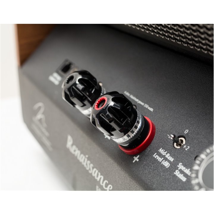 Martin Logan Renaissance ESL 15A Gloss Mettalic Cordoba Red 1 szt - Raty 0% - Gwarancja producenta - Salon Łódź