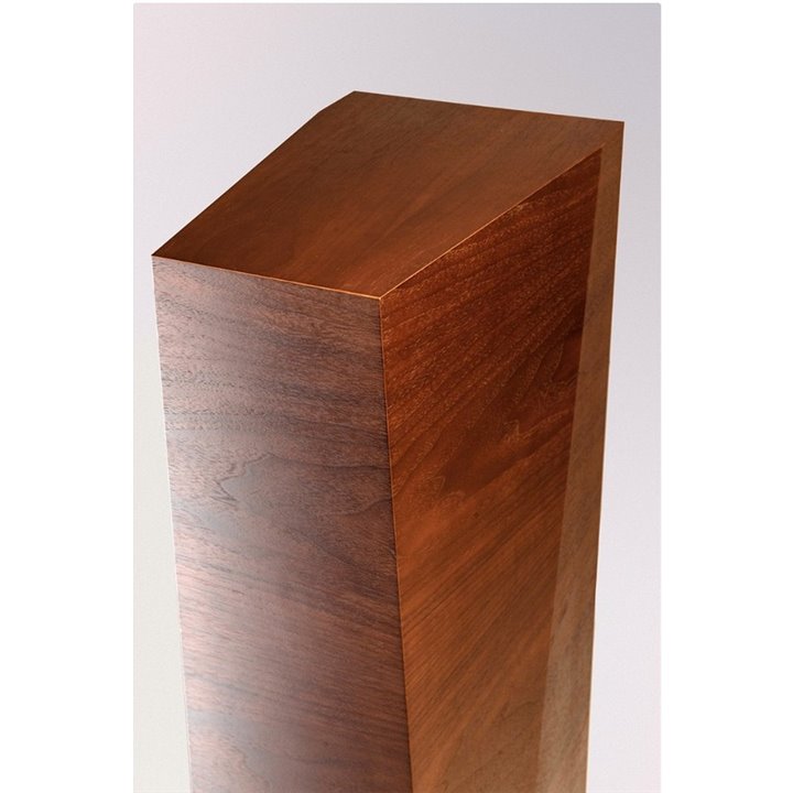 Paradigm FOUNDER 100F Black Walnut 1szt - Raty 0% - Gwarancja producenta - Salon Łódź - Możliwy montaż u klienta