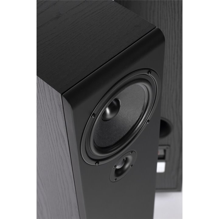 Pylon Audio Opal 20 (Czarny okleina PCV) / 1szt. - Raty 0% - Gwarancja producenta - Salon Łódź - Możliwy montaż u klienta