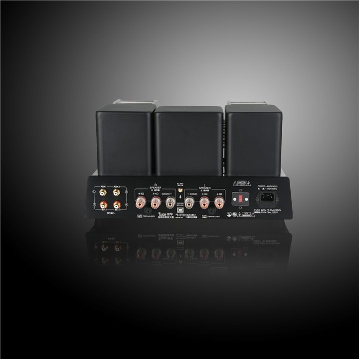 Yaqin MS-20L (NEW) RATY 0% - GWARANCJA PRODUCENTA - SALON ŁÓDŹ