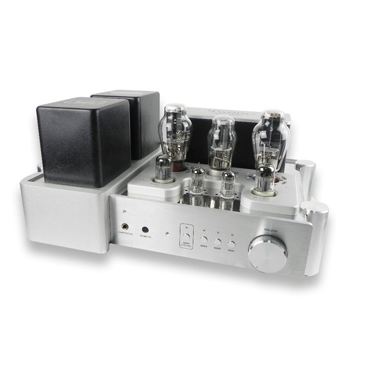 Yaqin MS-300C