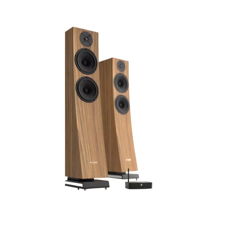 Pylon Audio Jasper 23 Active Orzech Amerykański 1szt - Nowość - Raty 0% - Gwarancja producenta - Salon Łódź