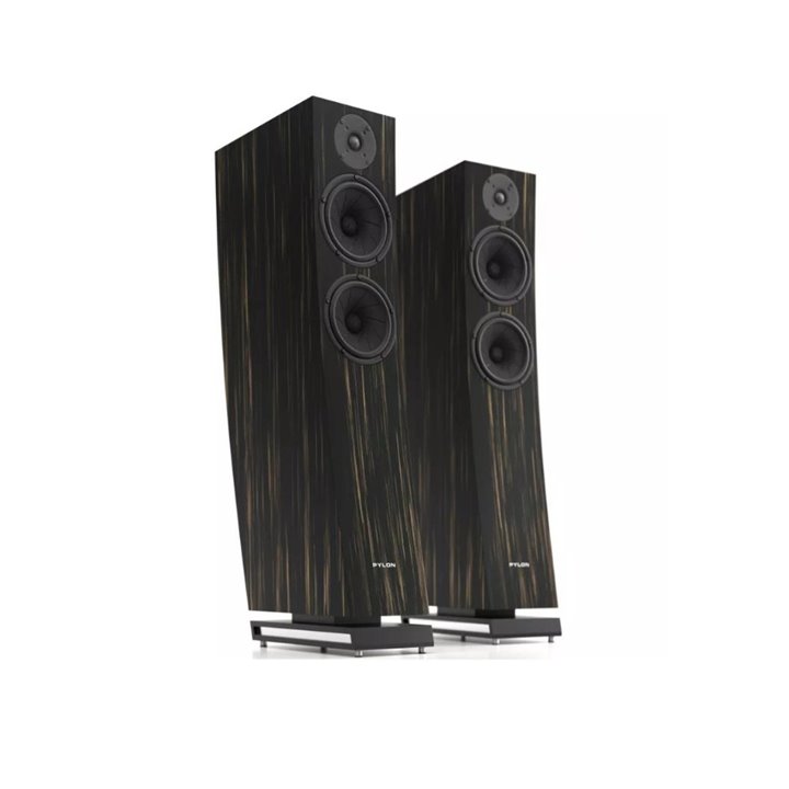 Pylon Audio Jasper 25 mkII Active Amerykański Orzech Nowość 1szt - Raty 0% - Gwarancja producenta - Salon Łódź