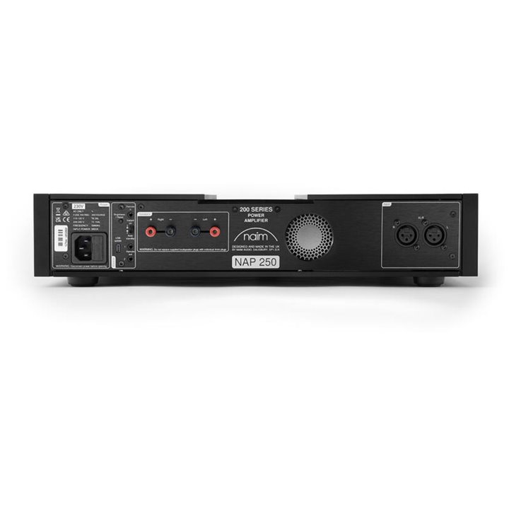 Naim NAP-250 - Gwarancja producenta - Salon Łódź - Raty 0%