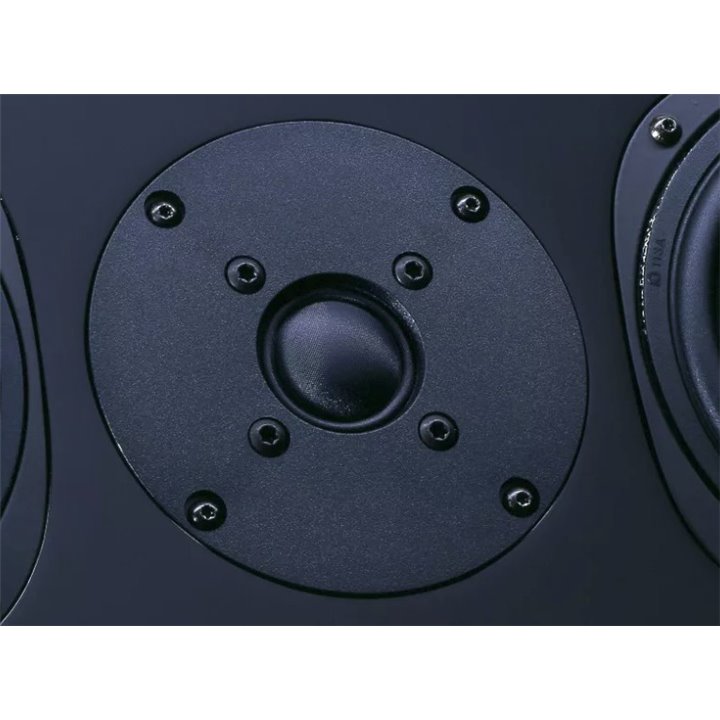 Vienna Acoustics Theatro Grand (Czarny połysk) - Salon Łódź - Raty 0%