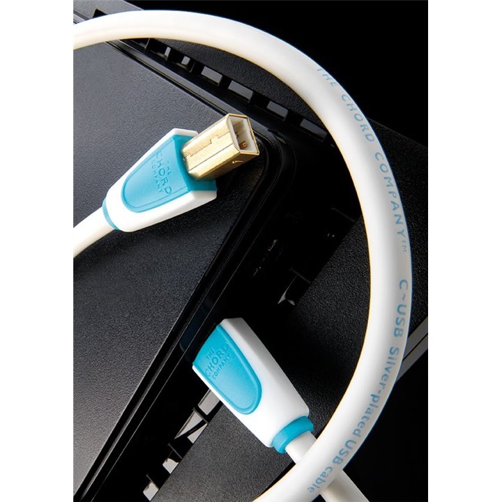 Chord C-USB 5,0 m A-B