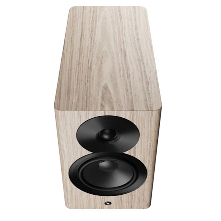 Dynaudio Focus 10 Jasny Orzech 1szt - Gwarancja producenta - Salon Łódź - Możliwy montaż u klienta