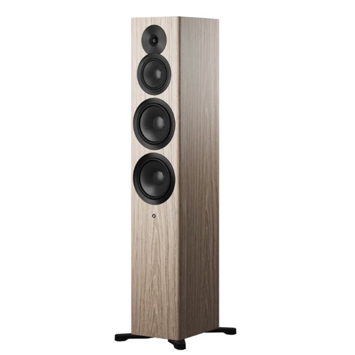 Dynaudio Focus 50 Jasny Orzech 1szt - Gwarancja producenta - Salon Łódź - Możliwy montaż u klienta