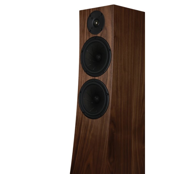 Pylon Audio Jasper 25 mkII Active Amerykański Orzech 1szt - Raty 0% - Gwarancja producenta - Salon Łódź