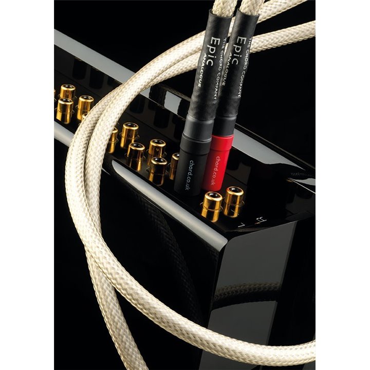 Chord Epic 2RCA na 2RCA - 3,0 m.