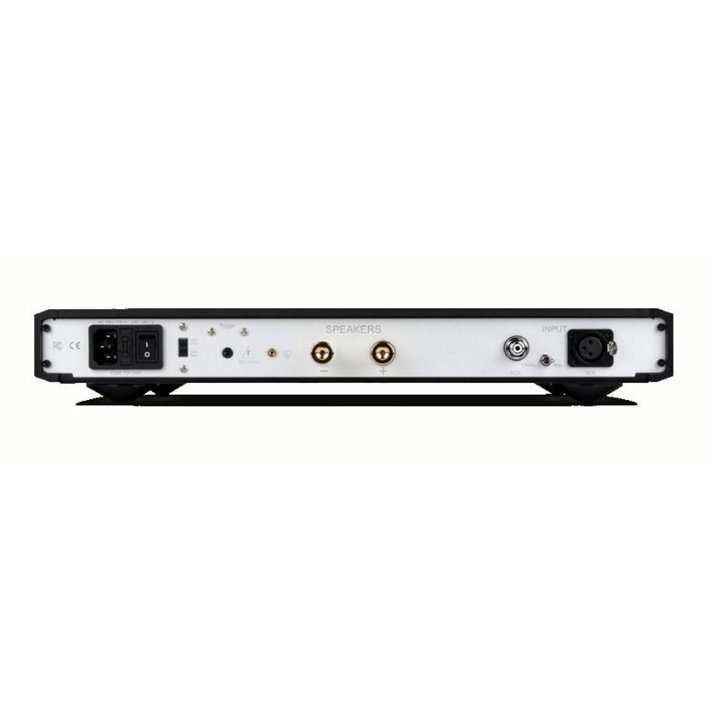 NuPrime Evolution One Końcówka mocy mono 240W - czarny