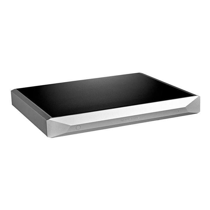 NuPrime Evolution One Końcówka mocy mono 240W - srebrny