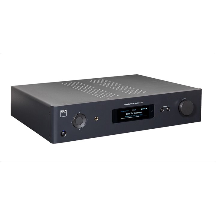 NAD C 389