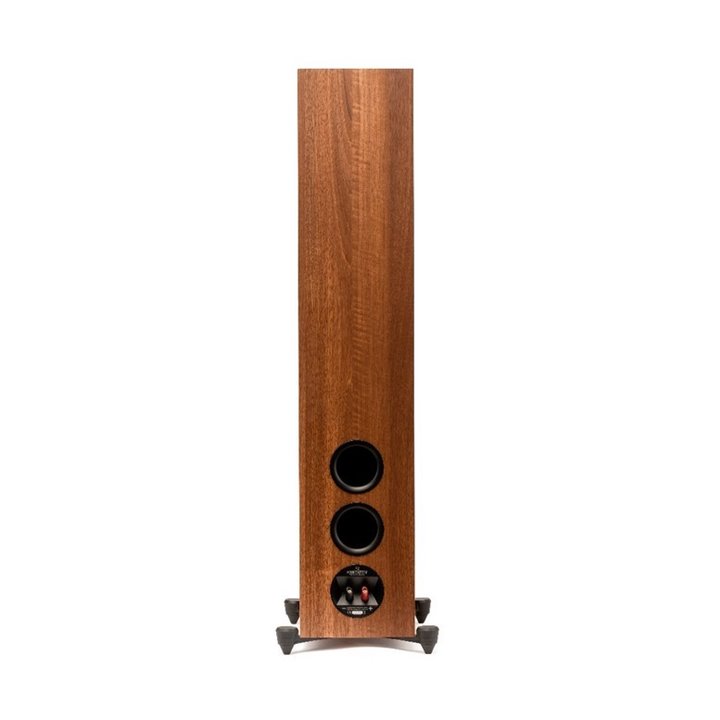 Martin Logan FOUNDATION F2 (Walnut) 1szt - Raty 0% - Gwarancja producenta - Salon Łódź