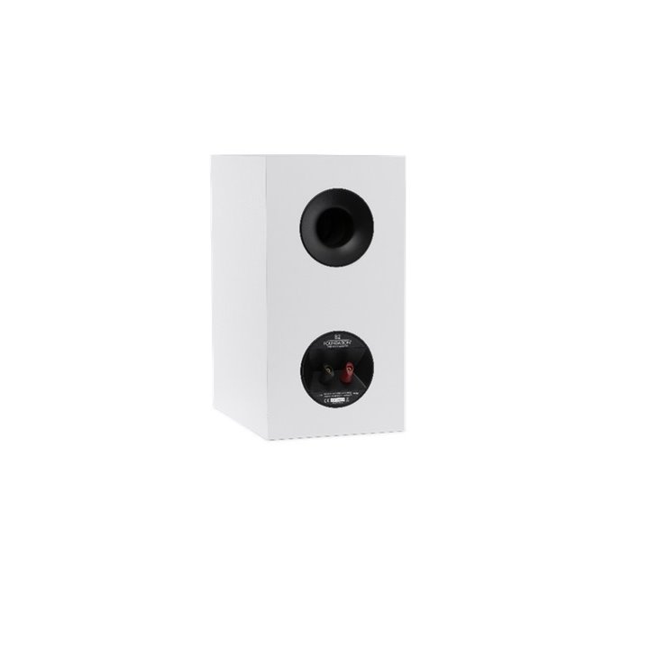 Martin Logan FOUNDATION B2 (Satin White) 1szt - Raty 0% - Gwarancja producenta - Salon Łódź