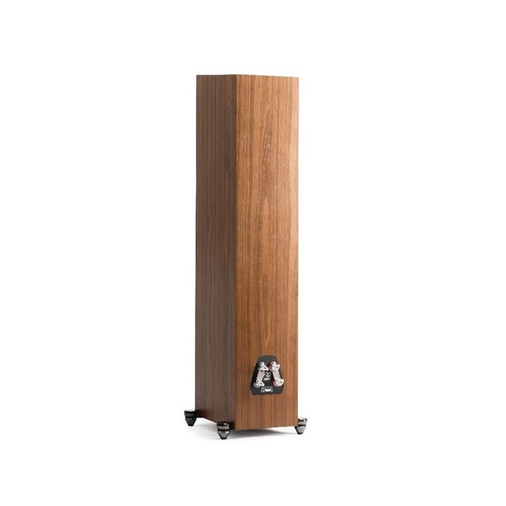 Martin Logan Motion F20 (Walnut) 1szt - Raty 0% - Gwarancja producenta - Salon Łódź