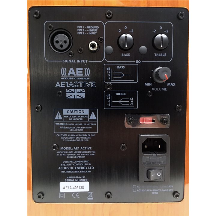 Acoustic Energy AE1 Active (Czarny Połysk) 1szt - Raty 0% - Gwarancja producenta - Salon Łódź - Możliwy montaż u klienta