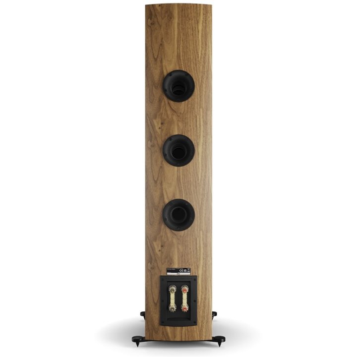 Dali Rubikore 8 (Natural Walnut) 1szt - Raty 0% - Gwarancja producenta - Salon Łódź
