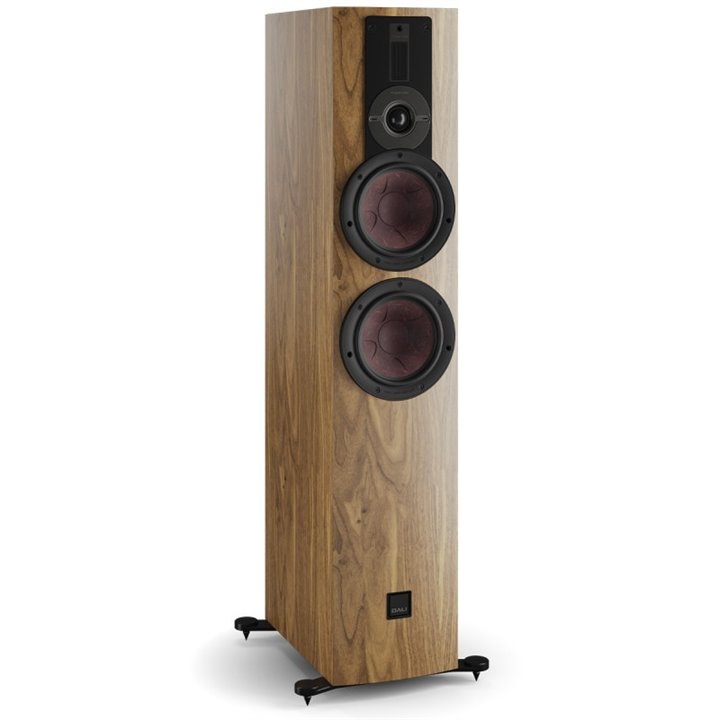 Dali Rubikore 6 (Natural Walnut) 1szt - Raty 0% - Gwarancja producenta - Salon Łódź