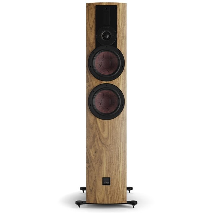 Dali Rubikore 6 (Natural Walnut) 1szt - Raty 0% - Gwarancja producenta - Salon Łódź