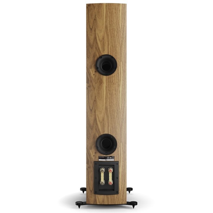 Dali Rubikore 6 (Natural Walnut) 1szt - Raty 0% - Gwarancja producenta - Salon Łódź
