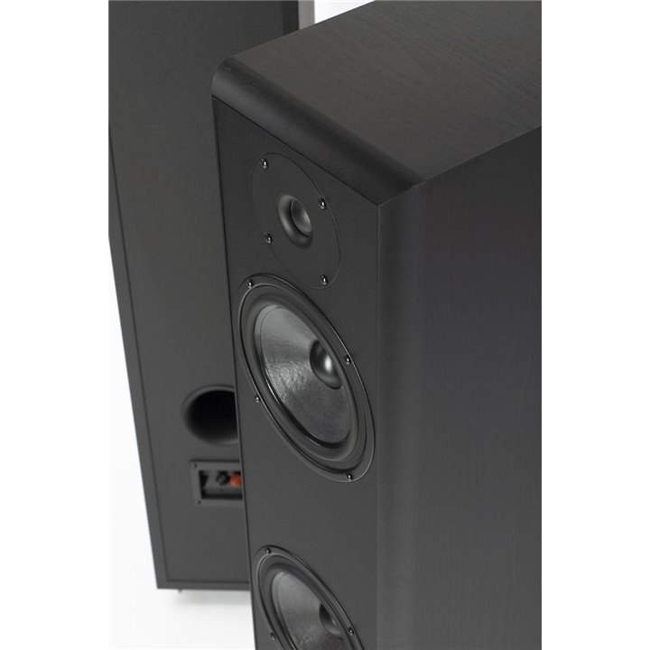 Pylon Audio Coral 25 / 1szt. - Raty 0% - Gwarancja producenta - Salon Łódź - Możliwy montaż u klienta