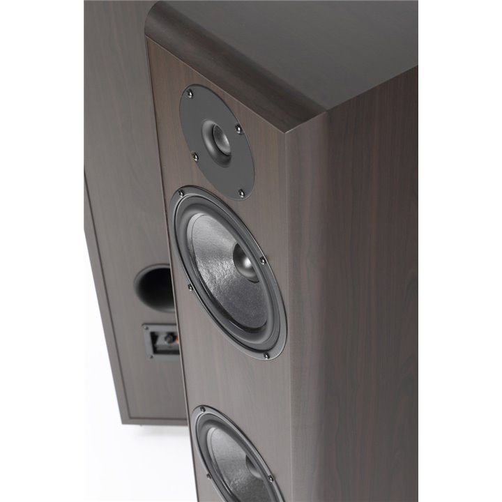 Pylon Audio Coral 25 / 1szt. - Raty 0% - Gwarancja producenta - Salon Łódź - Możliwy montaż u klienta