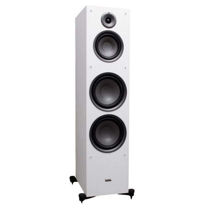 Taga Harmony TAV-807F (Walnut) - 1 szt. - Raty 0% - Gwarancja producenta - Salon Łódź