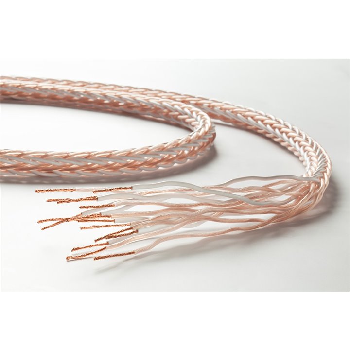 Taga Harmony PLATINUM-18-16C