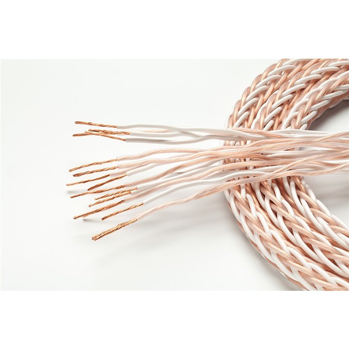 Taga Harmony PLATINUM-18-16C