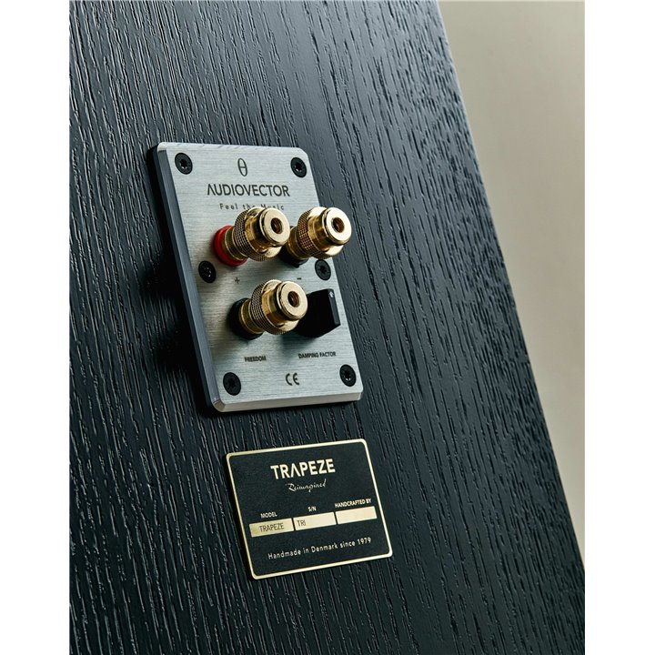 Audiovector Trapeze (Nordic Oak) 1szt. - Raty 0% - Gwarancja Producenta - Salon Łódź