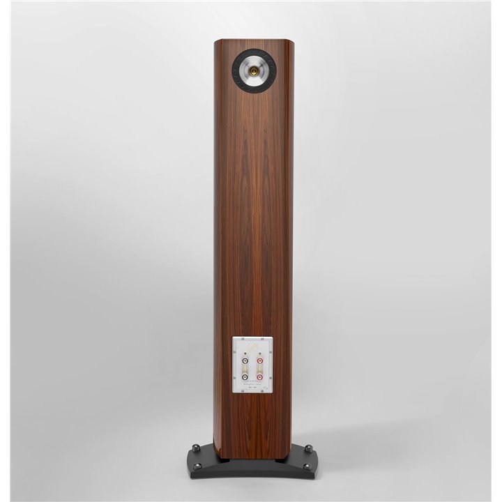 Triangle Magellan Quatuor 40th (Golden Oak) - 1szt - Raty 0% - Gwarancja producenta - Salon Łódź