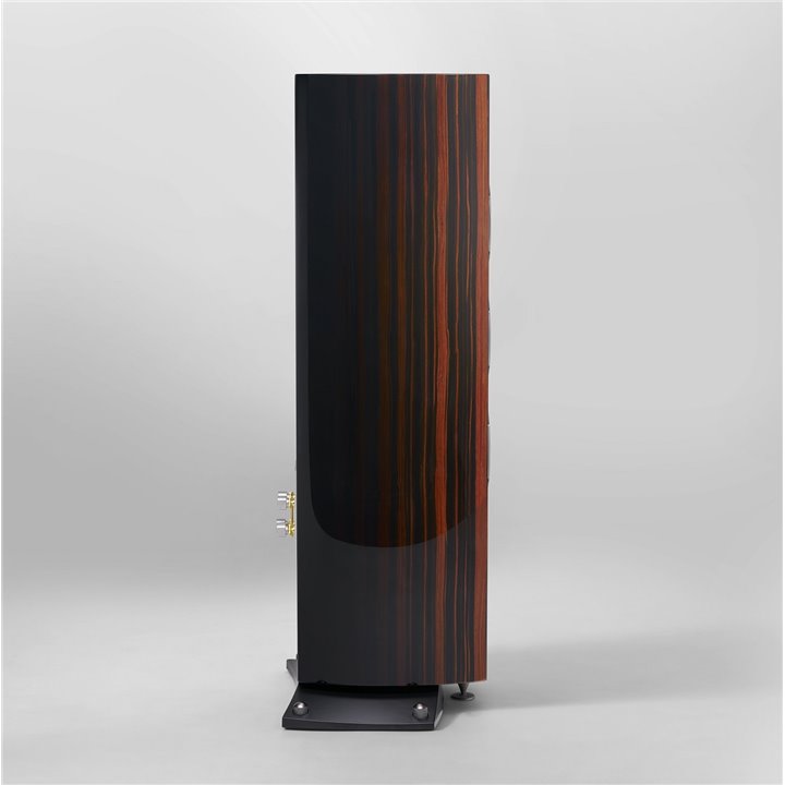 Triangle Magellan Cello 40th (Shadow Zebrano) - 1szt - Raty 0% - Gwarancja producenta - Salon Łódź
