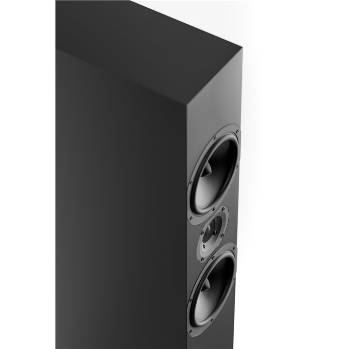 Pylon Audio Zirkon 20 Czarne 1szt - Gwarancja producenta - Raty 0% - Salon Łódź